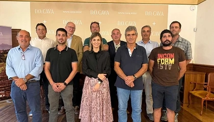 Foto de La DO Cava activa un plan para afrontar el nuevo escenario del viñedo: clima, mercado y equilibrio productivo
