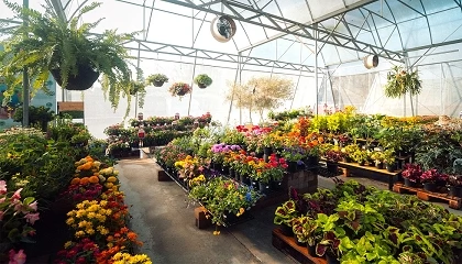 Foto de El garden retail internacional afronta un escenario marcado por el clima, la digitalización y el cambio en los hábitos de consumo