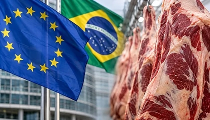 Foto de La Comisi�n Europea avala el sistema de control del vacuno brasile�o, pero pide mejorar los controles del �cido l�ctico