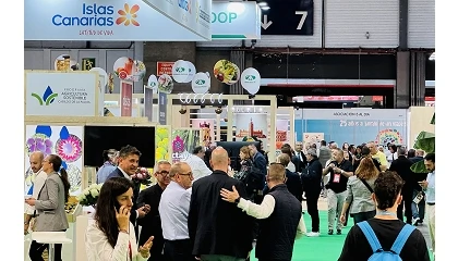 Foto de La patata reivindica su papel estrat�gico en Fruit Attraction 2026