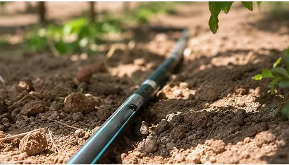 Foto de Caudal apuesta por preservar la uniformidad para optimizar los recursos agrícolas