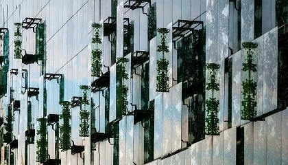 Foto de Construir melhor come�a pela envolvente