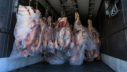 Foto de Segell Expres: solu��o de 12 ganchos para o transporte de carne fresca