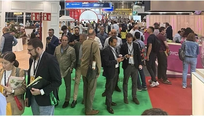 Foto de Fruit Attraction cosech� nuevos r�cords y reforz� la imagen global del sector hortofrut�cola espa�ol