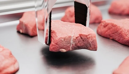 Foto de Da linha de produ��o � f�brica inteligente: a ind�stria da carne est� em transforma��o