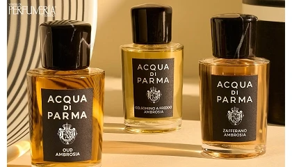 Foto de Acqua di Parma reinterpreta el oud en clave cremosa con Oud Ambrosia