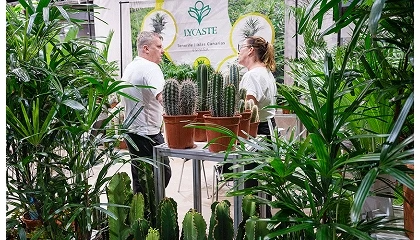 Foto de Iberflora y Eurobrico aumentan un 5% sus visitantes y destacan la llegada de nuevos compradores