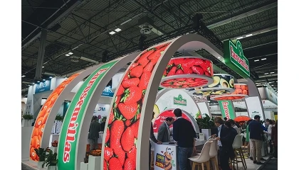 Foto de The Red Innovation Hub de Eurosemillas conecta al breeder con los principales productores y operadores de fresas