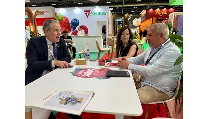 Foto de Freshuelva liderar� una iniciativa europea para avanzar en la armonizaci�n de la normativa sobre materias activas