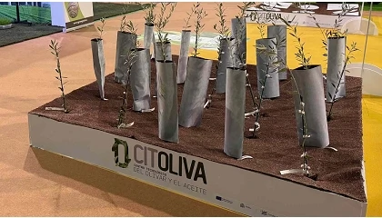 Foto de Expo AgriTech abordará los retos tecnológicos del olivar y los frutales