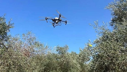Foto de Donde se cruzan los sectores nace informaci�n valiosa