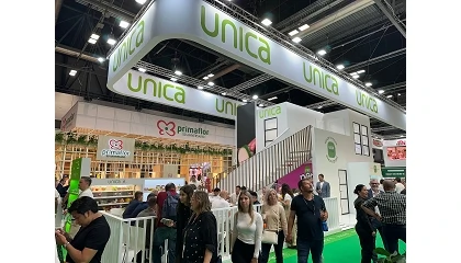 Foto de Unica Group impulsa el concepto snacking con 'Popits', la minivariedad de pepino para comer de un bocado