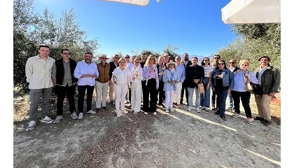 Foto de Grupo Oleícola Jaén inicia su 45ª campaña con la recolección temprana de la variedad Frantoio