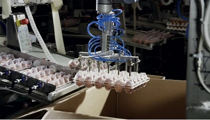 Foto de La industria alimentaria impulsa el crecimiento de la rob�tica en Espa�a