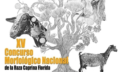 Foto de Ismael Sánchez Garrido logra los premios a Mejor Cabra y Mejor Ganadería en raza Florida