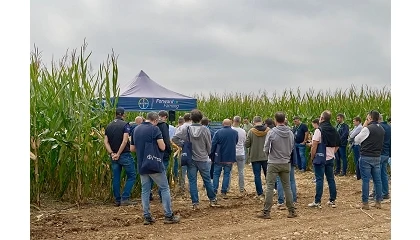 Foto de Bayer presenta la primera ForwardFarm de España dedicada al cultivo de maíz