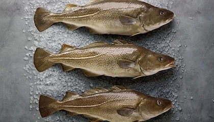 Foto de El pescado gana peso en el debate sobre la calidad nutricional de la dieta
