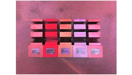 Foto de Mimosa, Vigor e Pleno conquistam cinco pr�mios nos APPM Awards