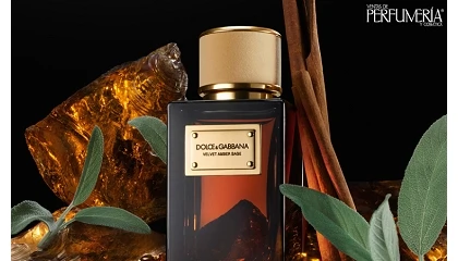 Foto de Dolce&amp;Gabbana lanza Velvet Amber Sage, una fragancia que combina salvia romana y ámbar