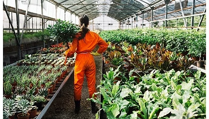 Foto de La exportaci�n espa�ola de flores y plantas crece un 7,3% hasta julio y la importaci�n aumenta un 9,3%