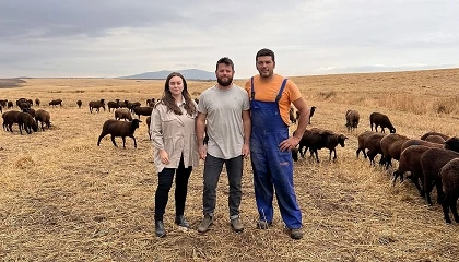 Foto de La raza Merina abre nuevas oportunidades comerciales en los mercados internacionales