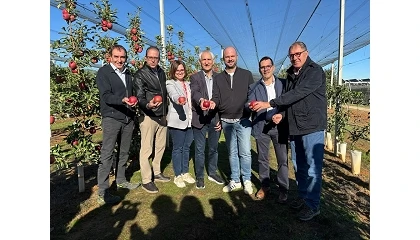 Foto de ADORE, la nueva generación de manzanas adaptadas a climas más cálidos