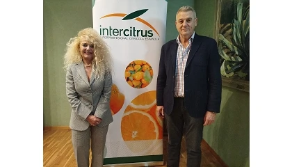 Foto de Inmaculada Sanfeliu, nueva presidenta de Intercitrus