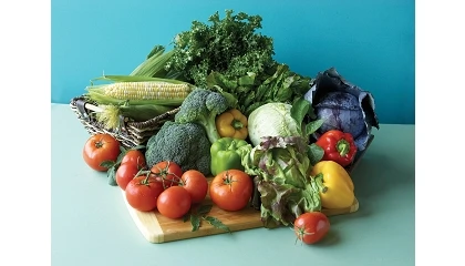 Foto de Estabilidad en las exportaciones españolas de frutas y hortalizas