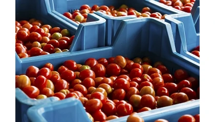 Foto de España incrementa las importaciones hortofrutícolas