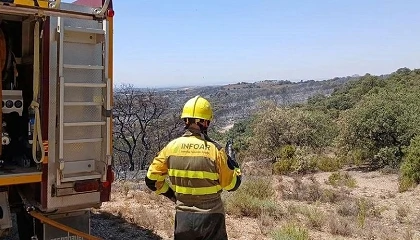 Foto de Arag�n convoca 550.000 euros en ayudas para ganaderos afectados por los incendios