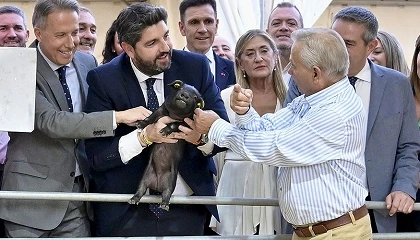 Foto de El porcino impulsa el r�cord hist�rico de la ganader�a murciana, con 1.220 millones de euros