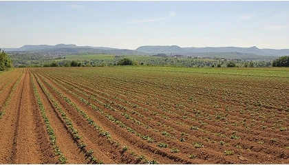 Foto de El Consejo de la UE aprueba su posici�n sobre la futura Pol�tica Agraria Com�n