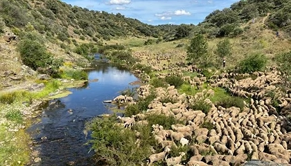 Foto de El Gobierno desarrolla la Red Nacional de V�as Pecuarias para proteger la trashumancia