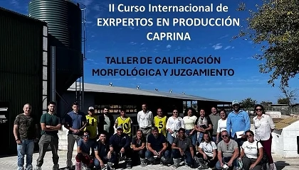 Foto de La raza Florida protagoniza una jornada práctica de calificación morfológica y juzgamiento