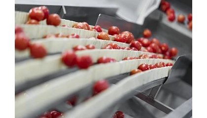 Foto de Espa�a, la mayor productora hortofrut�cola de la UE