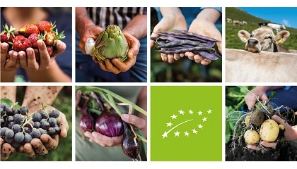 Foto de Ecovalia respalda el acuerdo europeo para simplificar la normativa de producción ecológica
