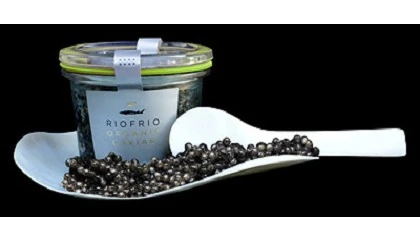 Foto de Entrevista a Alberto Domezain Fau, director de Caviar de Riofr�o