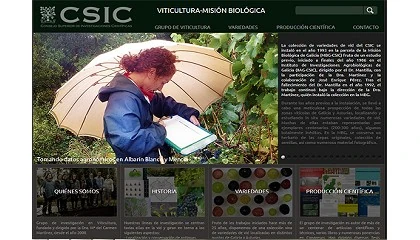 Foto de El CSIC presenta su coleccin de variedades de vid