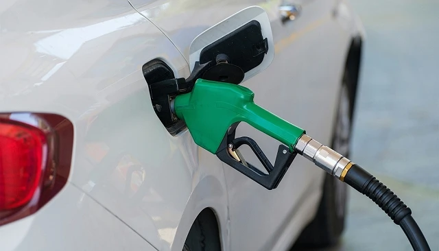 Foto de El �Informe Draghi� destac� el potencial de los combustibles renovables