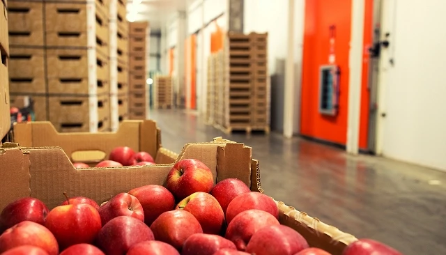 Foto de La cosecha de fruta de pepita cae un 6%, aunque la producción de manzana crece un 3,3%