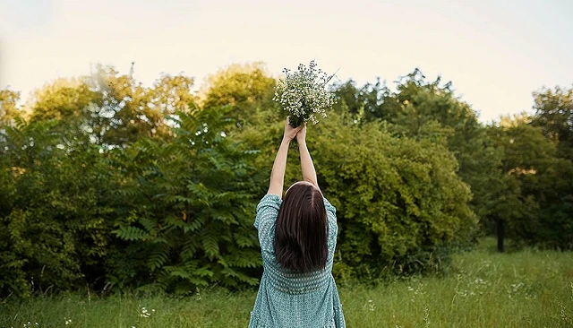 Foto de El jardín de 2026 mezcla belleza, conciencia y diversión
