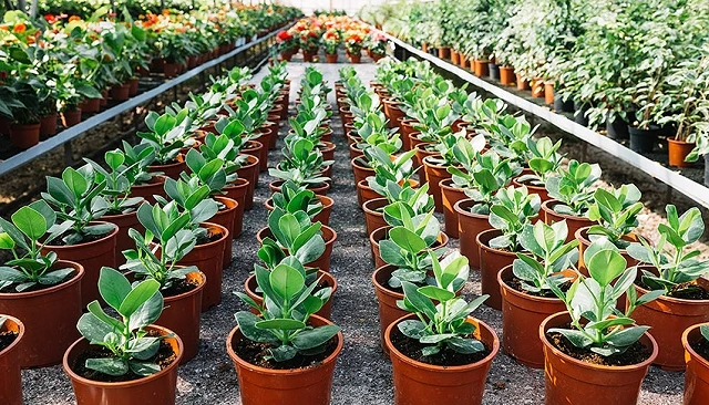 Foto de El nuevo marco de residuos y envases obliga al sector verde a reinventar su modelo de producción y comercialización