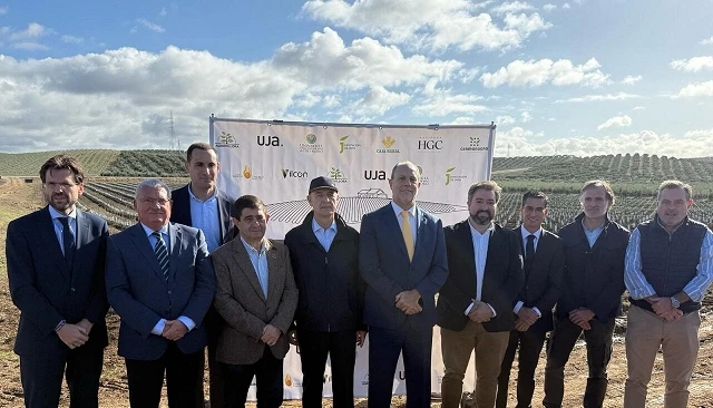 Foto de Caja Rural de Jaén impulsa un proyecto internacional para transformar el olivar