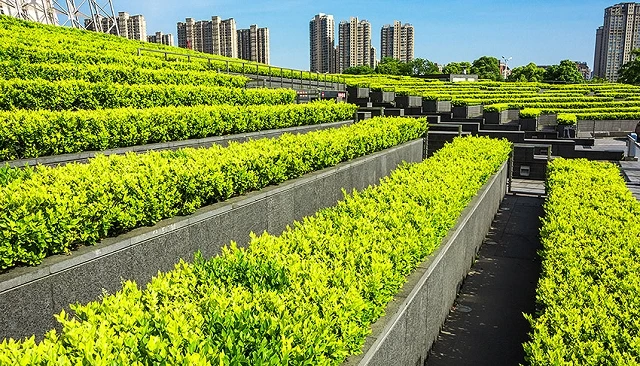 Foto de El sector del paisaje y la jardinería encara 2026 con más unidad, profesionalización y demandas