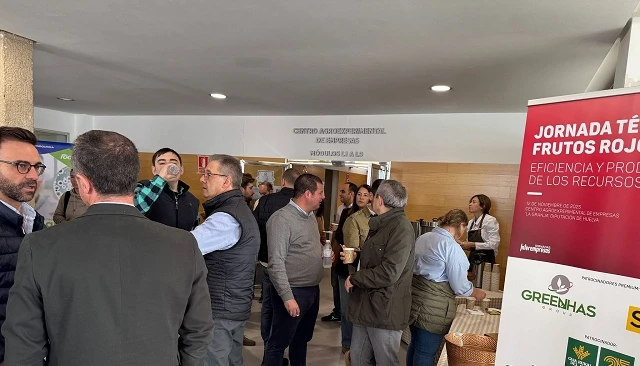 Foto de Claves para el crecimiento del sector de los berries: eficiencia, innovación y colaboración para impulsar el consumo