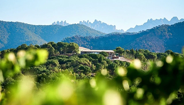 Foto de Pla de Morei: la pasión por devolver el vino a la tierra de la que nunca debió irse