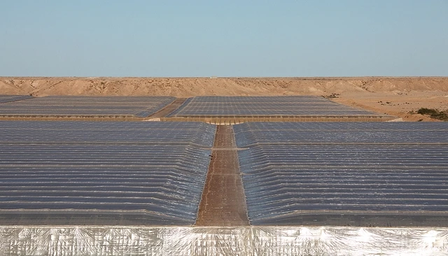 Foto de Fepex avisa de que los productores de tomate del Sahara tendr�n concesiones in�ditas y financiaci�n comunitaria