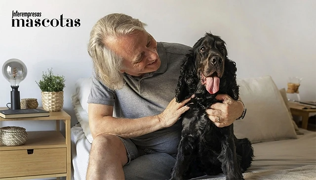 Foto de Cuidados especiales para perros mayores