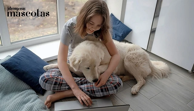 Foto de Un nuevo estudio del Royal Veterinary College arroja luz sobre cuándo los propietarios de perros deciden buscar atención veterinaria