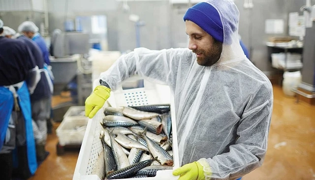 Foto de El 88% de las empresas de productos del mar prevé crecer en ventas en 2026
